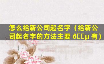 怎么给新公司起名字（给新公司起名字的方法主要 🌵 有）